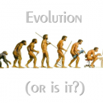 evolution